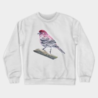 House Finch bird painting (no background) Crewneck Sweatshirt